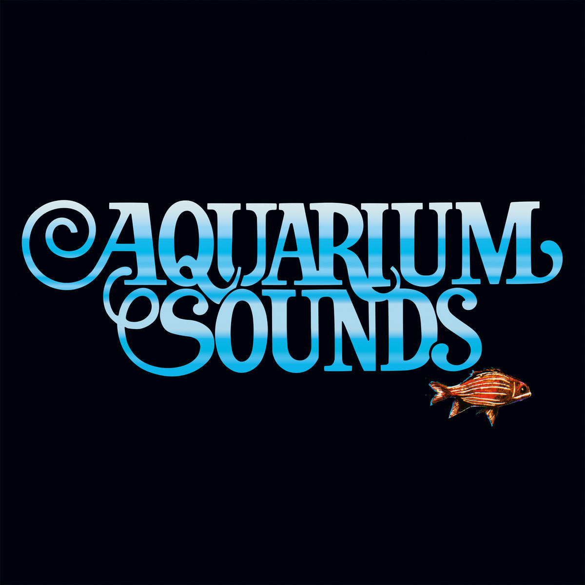 Filippo Trecca - Aquarium Sounds - Vinyl