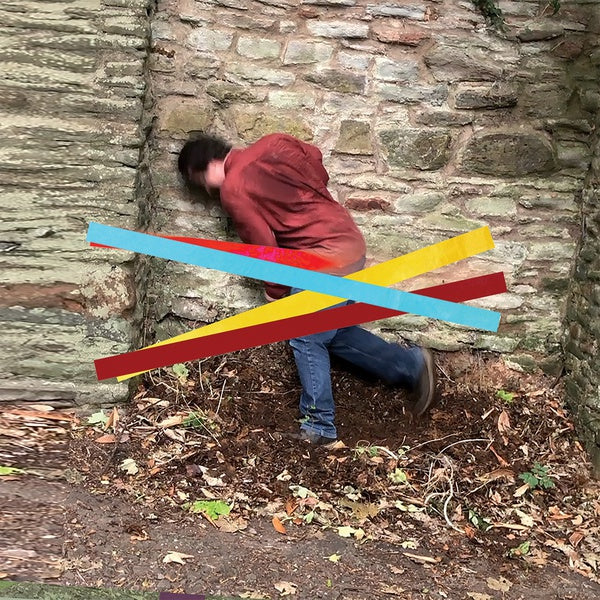 FINLAY SHAKESPEARE - Domestic Economy - Vinyl