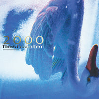 Fleshwater - 2000: In Search Of The Endless Sky (Indie Exclusive Fluorescent Pink Vinyl) - Vinyl