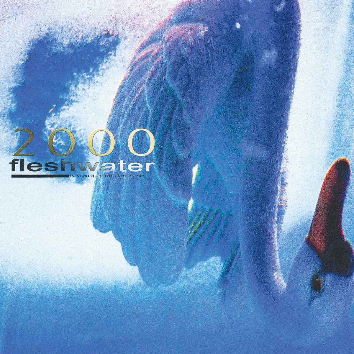 Fleshwater - 2000: In Search Of The Endless Sky (Metallic Blue Vinyl) - Vinyl