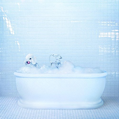 Frankie Cosmos - Vessel - Vinyl