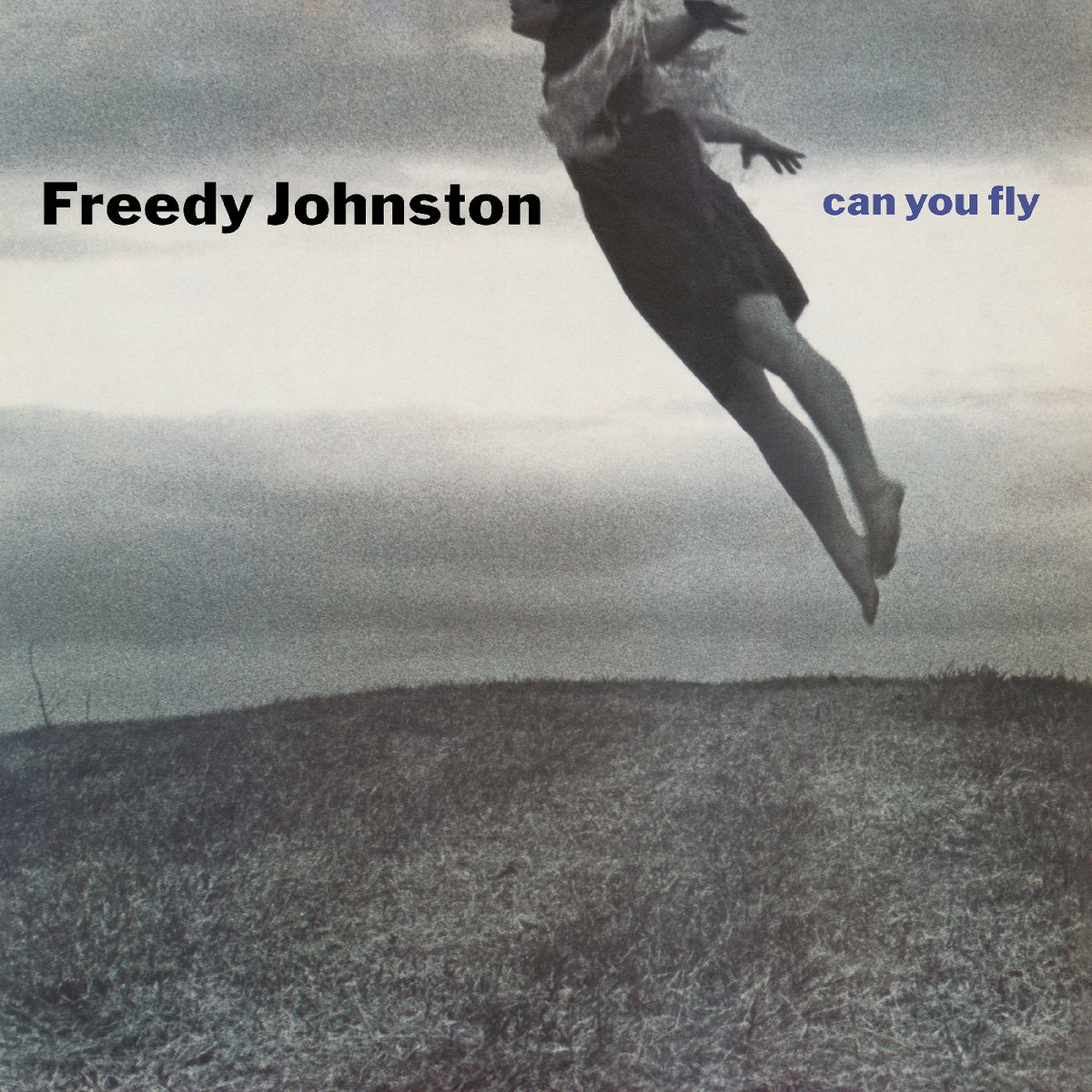 Freedy Johnston - Can You Fly (Clear Vinyl) - Vinyl