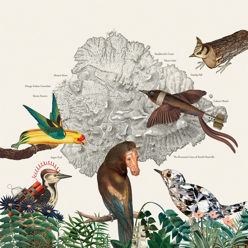 Friendly Rich - The Birds Of Marsville - Vinyl