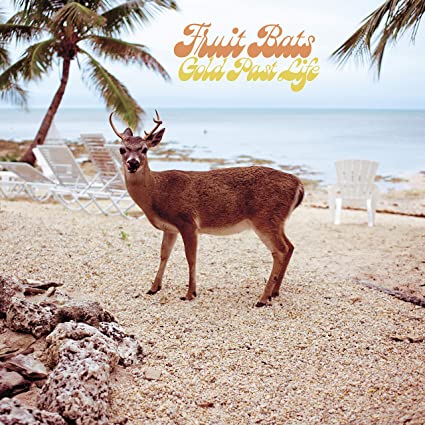 Fruit Bats - Gold Past Life - Vinyl