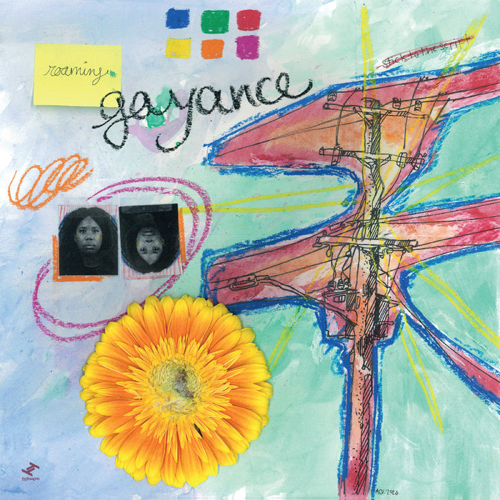 GAYANCE - Roaming - Vinyl