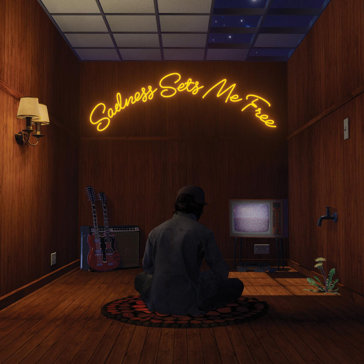 Gruff Rhys - Sadness Sets Me Free - Vinyl