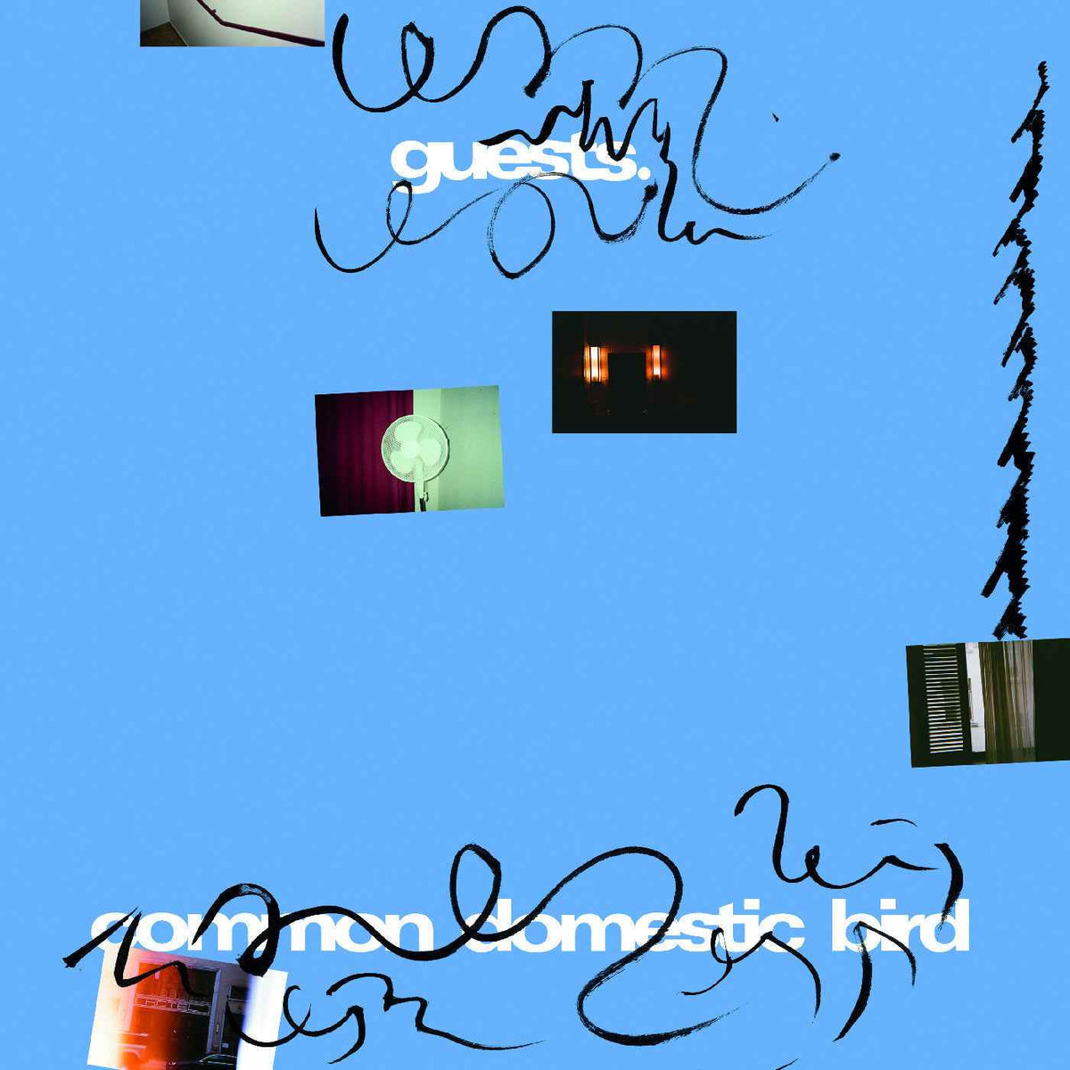 Guests - Common Domestic Bird - Vinyl