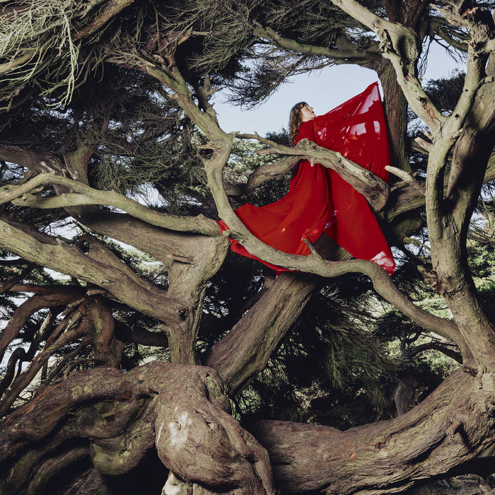 Hannah Frances - Nested In Tangles (Ruby Red Vinyl) - Vinyl