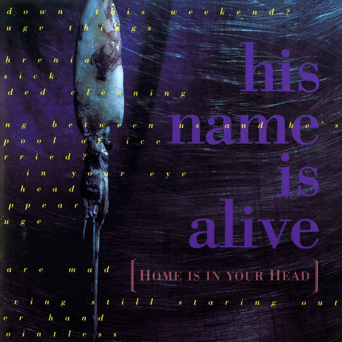 His Name Is Alive - Home Is In Your Head - Vinyl
