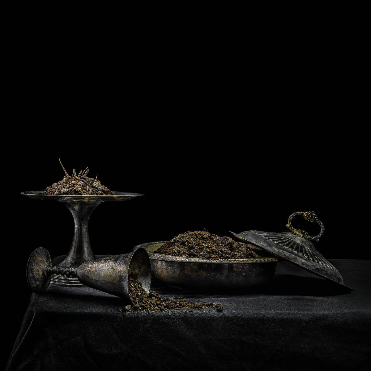 Holy Scum - All We Have Is Never (Purple Vinyl) - Vinyl