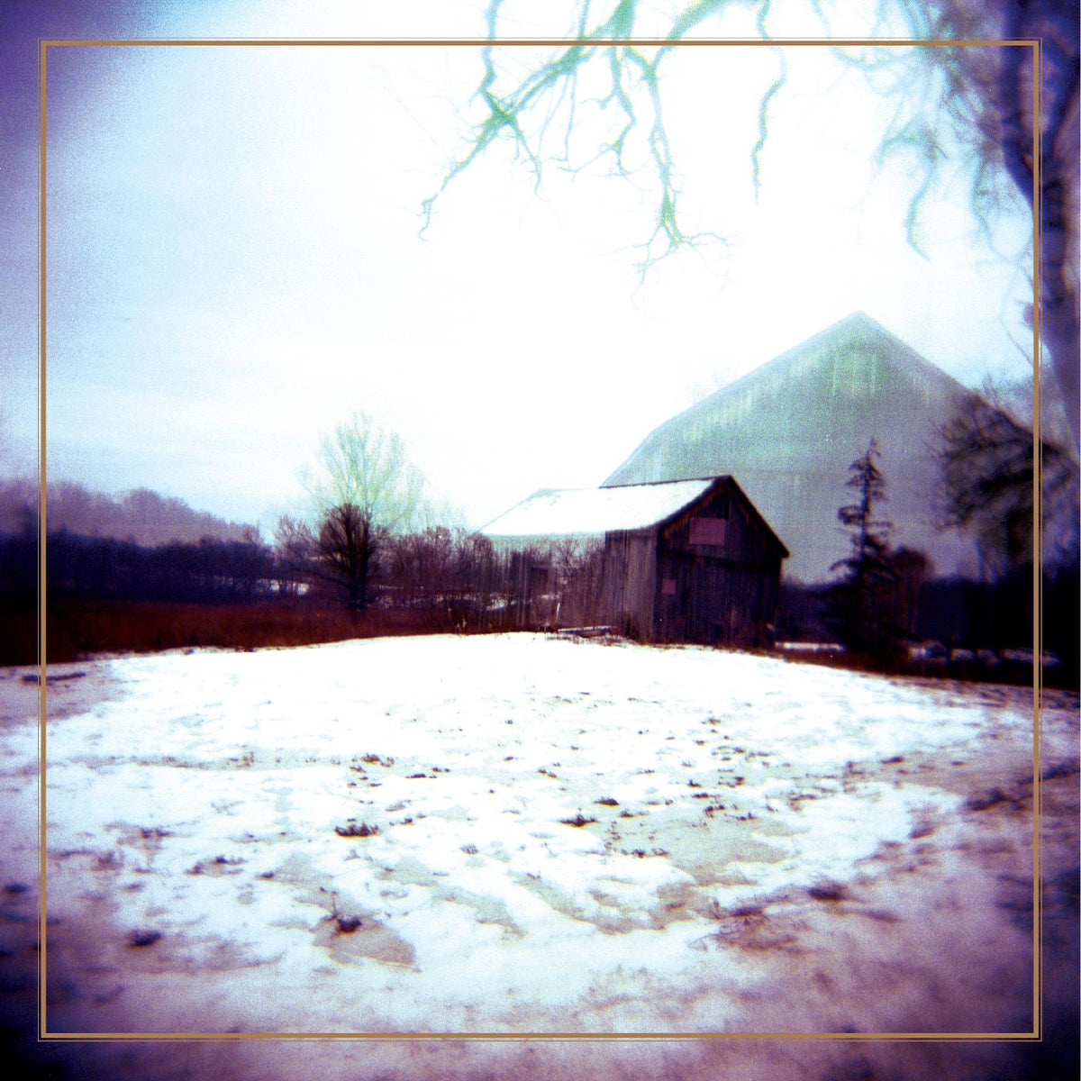 Horse Feathers - House With No Home (Deluxe Reissue, Clear Blue with Streaks Vinyl) - Vinyl