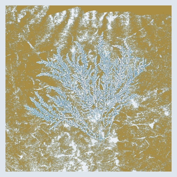 Huerco S. - For Those Of You Who Have Never (And Also Those Who Have) - Vinyl