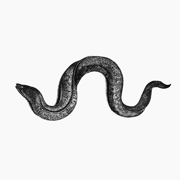 HYUNHYE SEO - Eel - CD