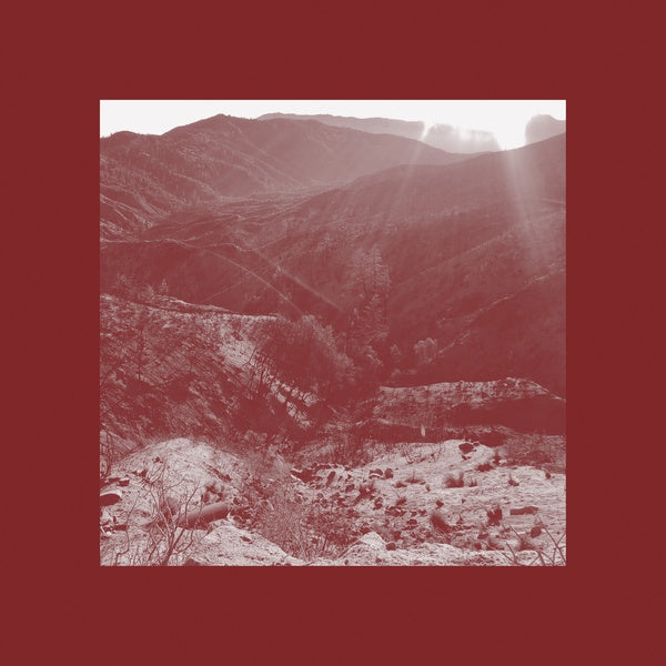 IAN WELLMAN - On The Darkest Day, You Took My Hand And Swore It Will Be Okay - CD