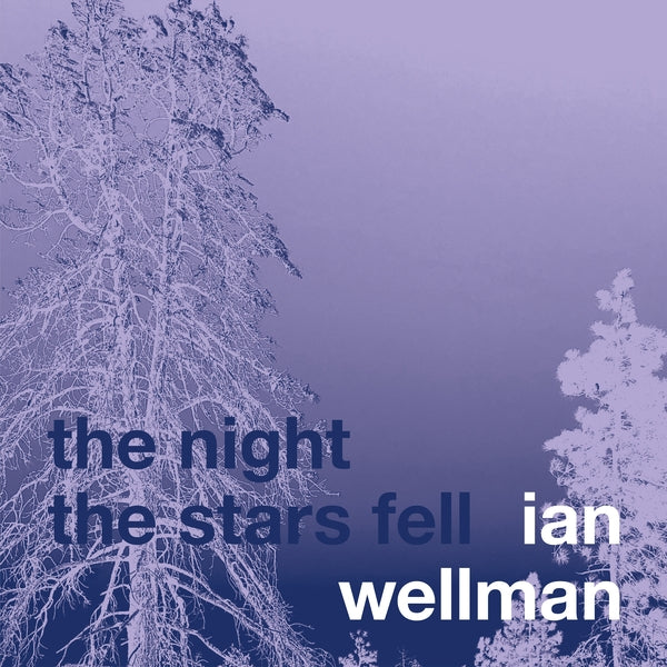IAN WELLMAN - The Night The Stars Fell - CD