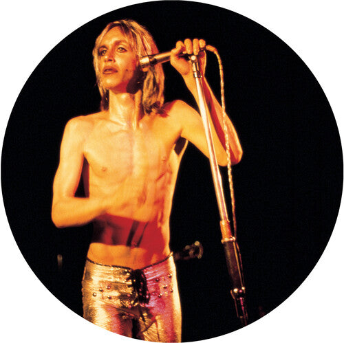 Iggy & The Stooges - More Power - A Gorgeous Picture Disc Vinyl (Picture Disc Vinyl LP, Remastered) - Vinyl
