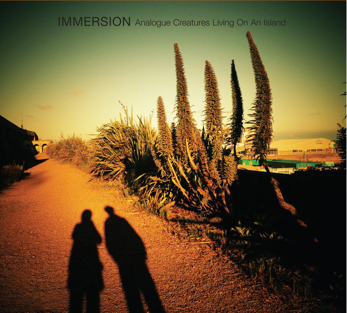 Immersion - Living On An Island - 10" - Vinyl