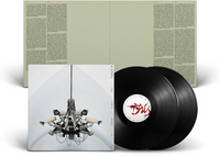 Interpol - This Mirror Weighs a Ton (2 Lp's) - Vinyl