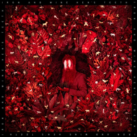 Iron & Wine - Hen's Teeth: Loser Edition (Transparent White Colored Vinyl) - Vinyl