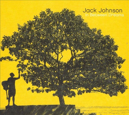Jack Johnson - In Between Dreams - Vinyl