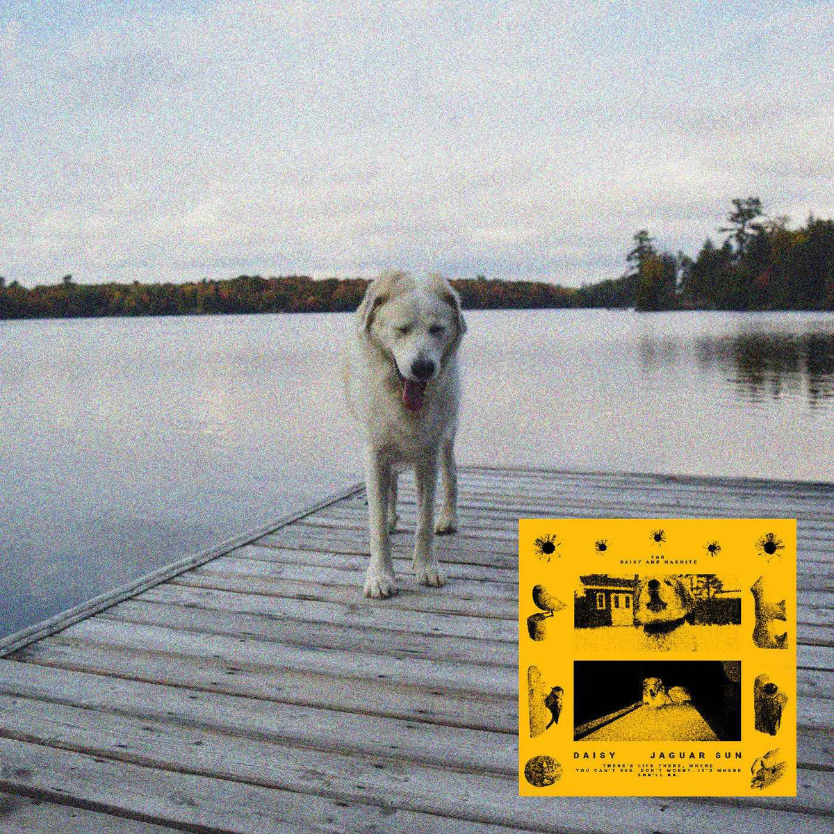 Jaguar Sun - Daisy (Black And Yellow Swirl Vinyl) - Vinyl