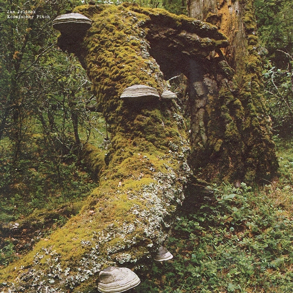 JAN JELINEK - Kosmischer Pitch - Vinyl