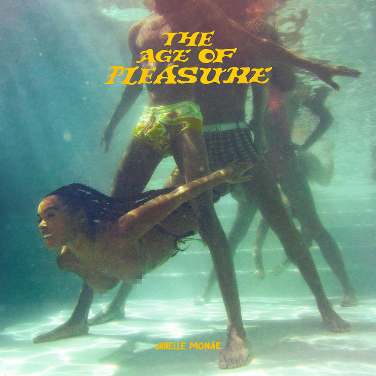 Janelle Monáe - The Age of Pleasure (Indie Exclusive Gatefold on Orange Crush Vinyl) - Vinyl