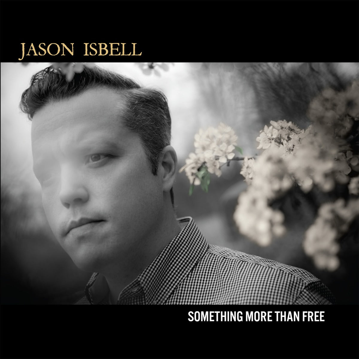 Jason Isbell - Something More Than Free (10 Year Anniversary Edition) (Indie Exclusive Denim Vinyl) [2LP] - Vinyl