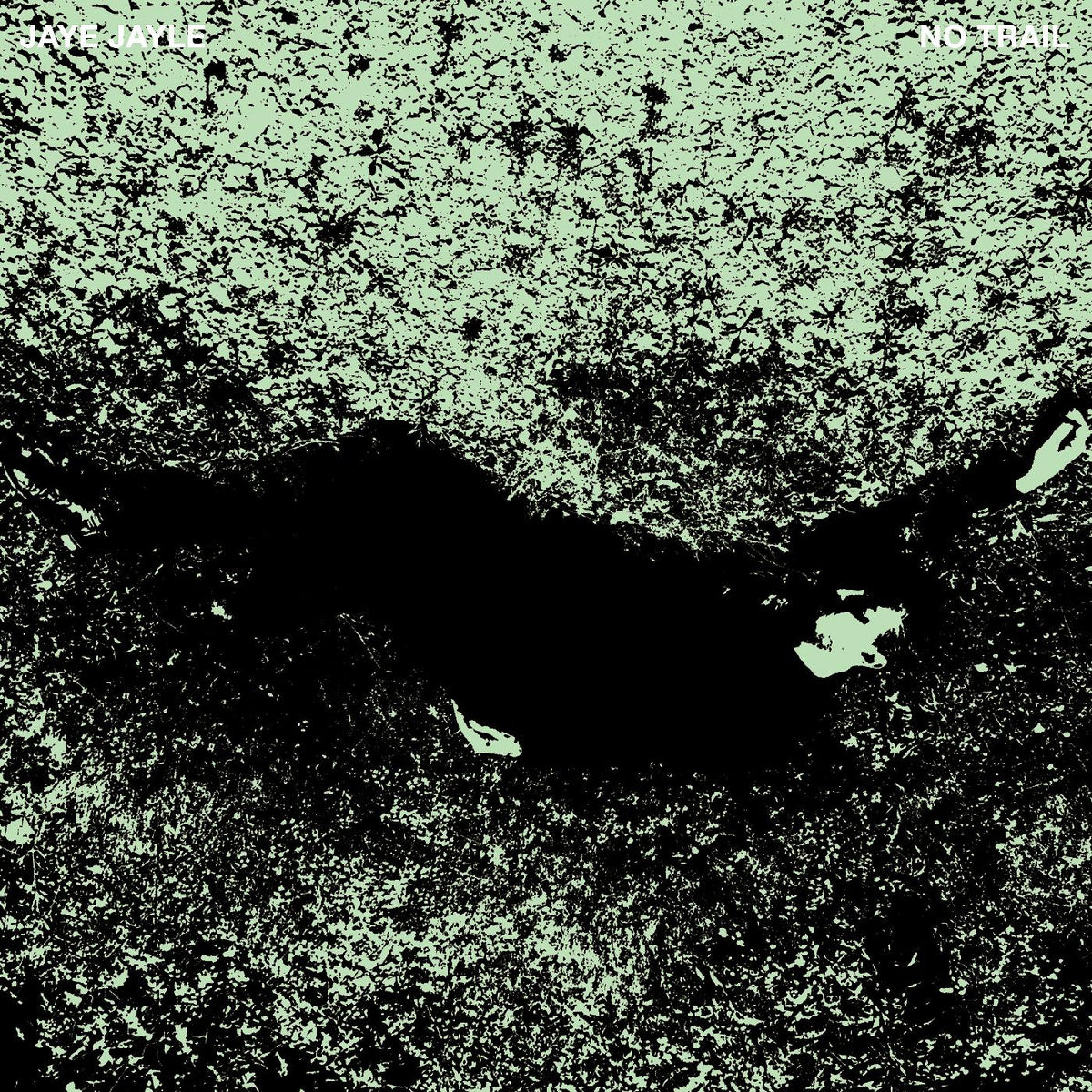 Jaye Jayle - No Trail and Other Unholy Paths - Vinyl