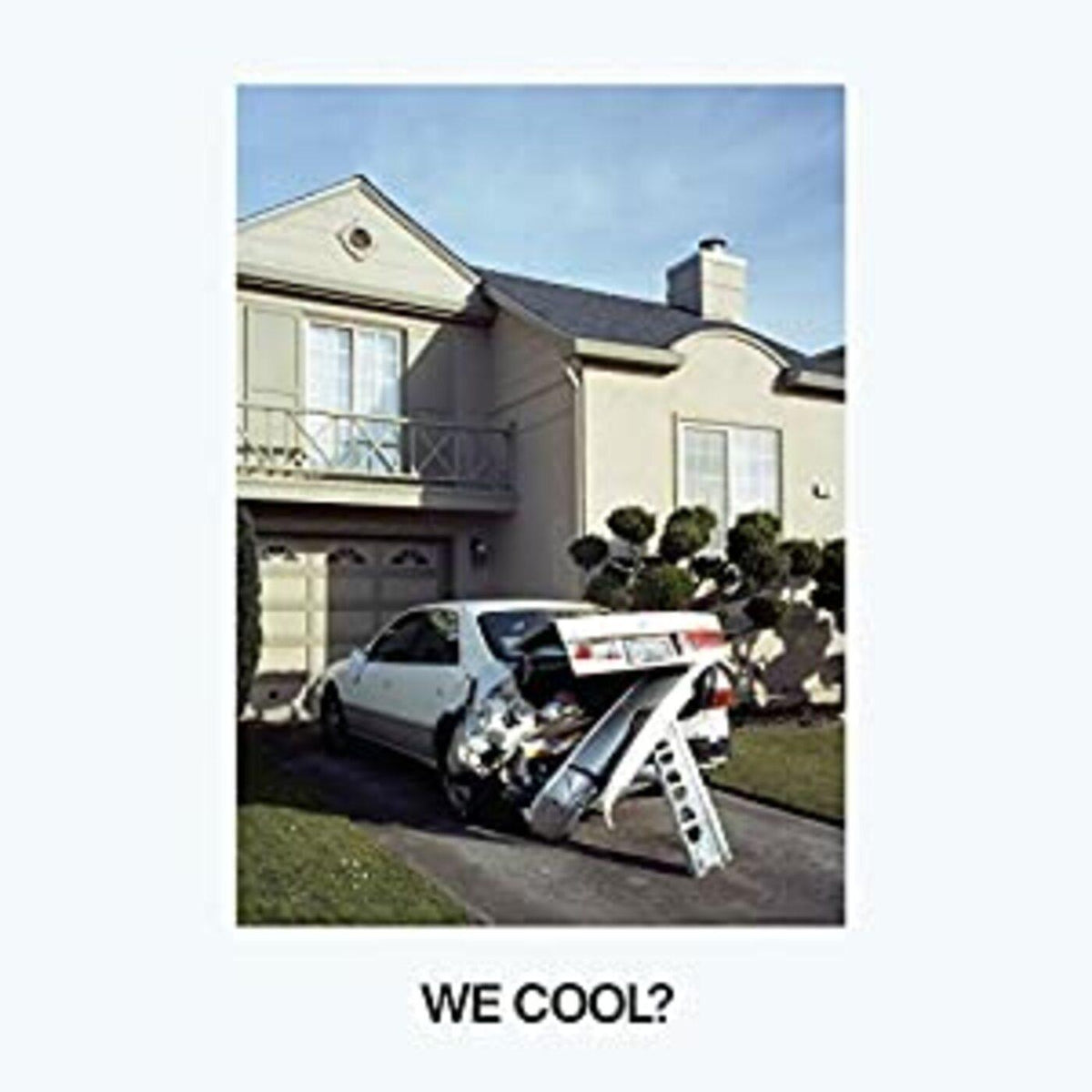 Jeff Rosenstock - We Cool - Vinyl