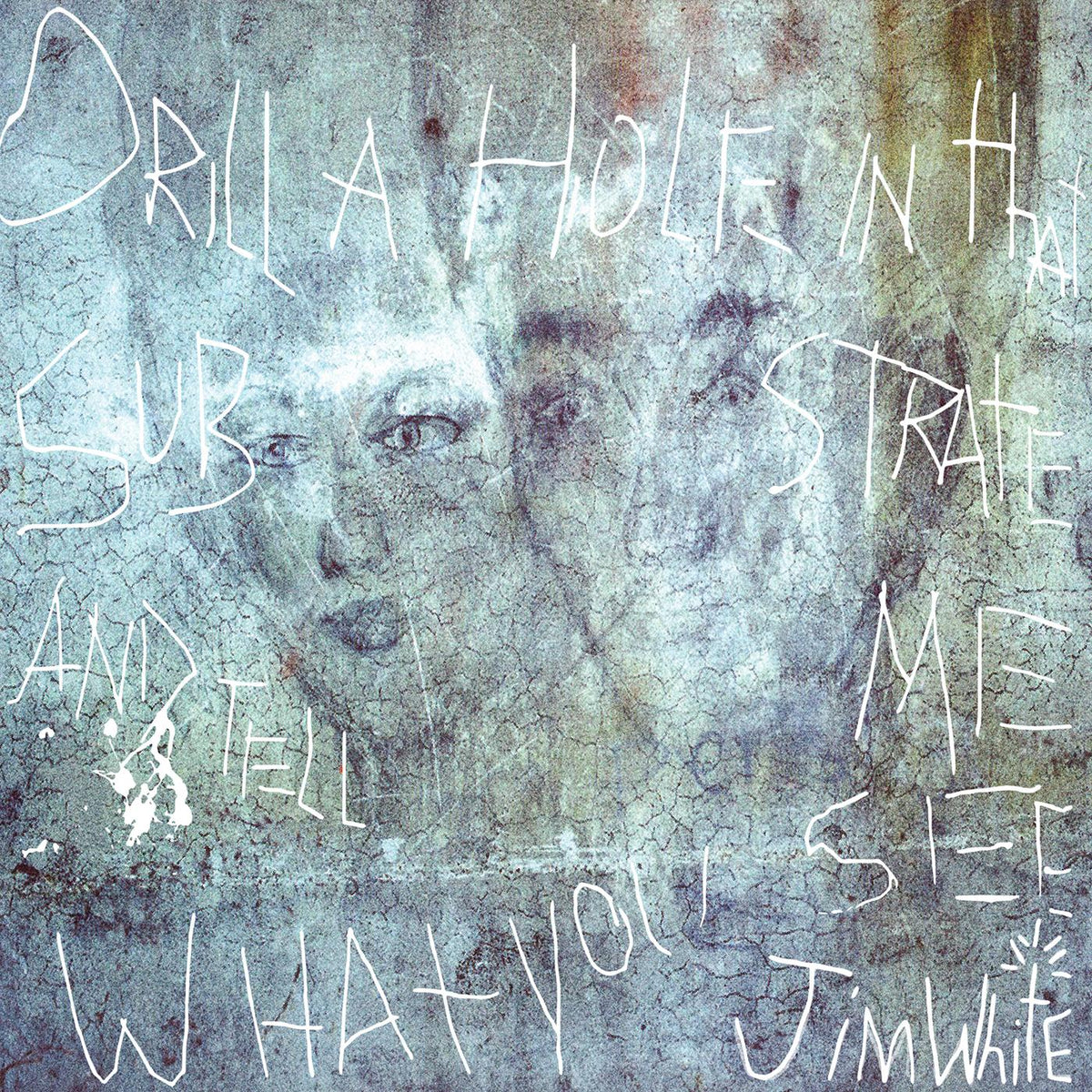 Jim White - Drill a Hole in That Substrate and Tell Me What You See - Vinyl