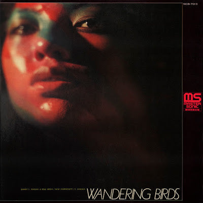 Jiro Inagaki & Soul Media - Wandering Birds - Vinyl
