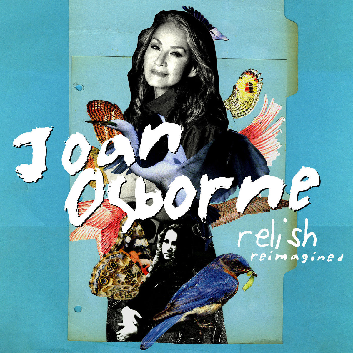 Joan Osborne - Relish Reimagined [LP] - Vinyl