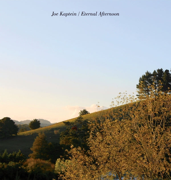 Joe Kaptein - Eternal Afternoons - Vinyl