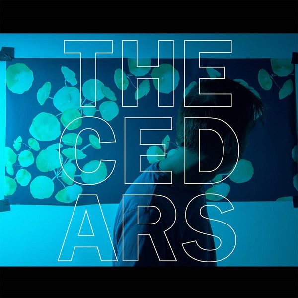 John Vanderslice - The Cedars - Vinyl