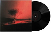 Joji - Piss In The Wind [Explicit Content] - Vinyl