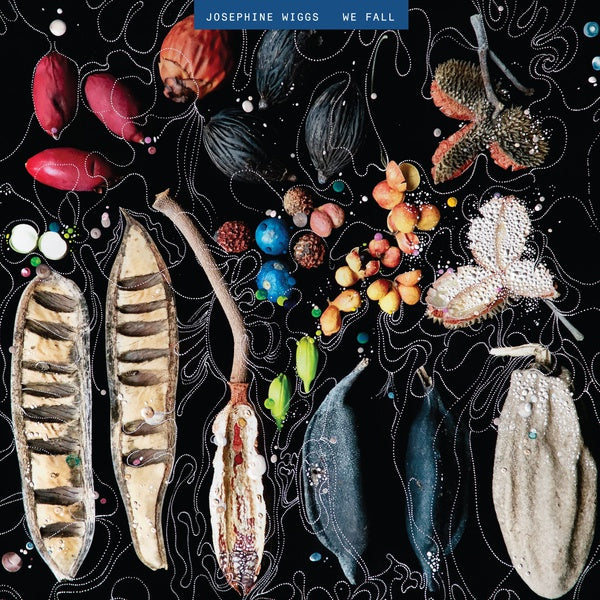 JOSEPHINE WIGGS - We Fall - Vinyl