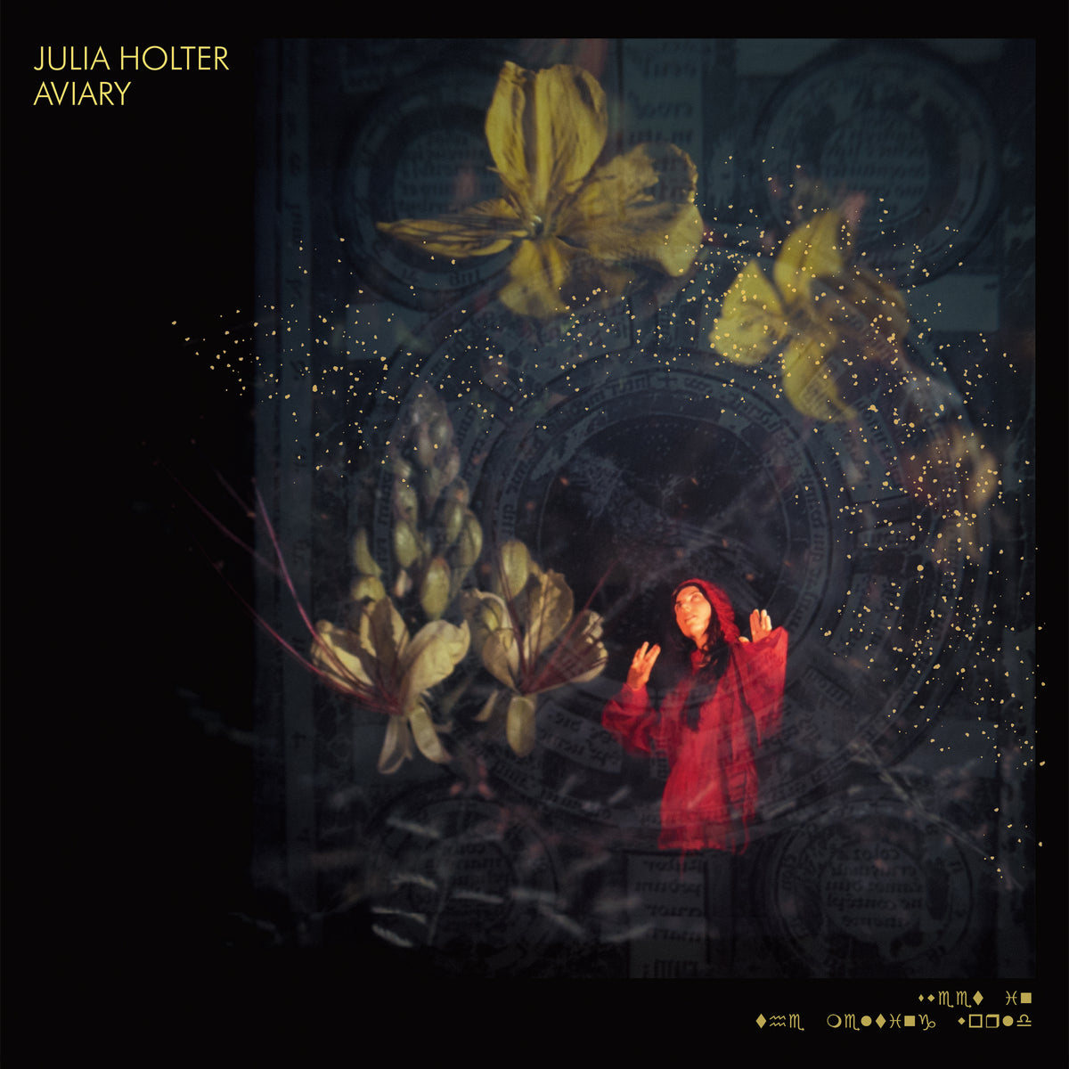 Julia Holter - Aviary - Vinyl
