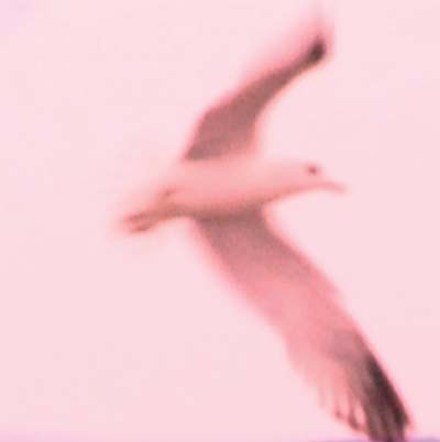 Julia Holter - Maria/2HB - Vinyl