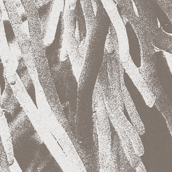 JW PATON - Structures - CD