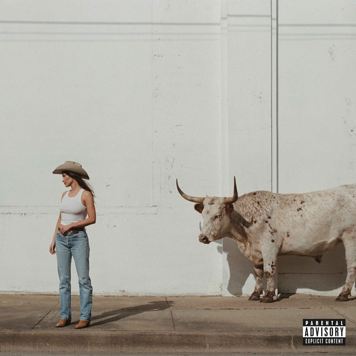 Kacey Musgraves - Middle Of Nowhere [Whiskey Vinyl] - Vinyl