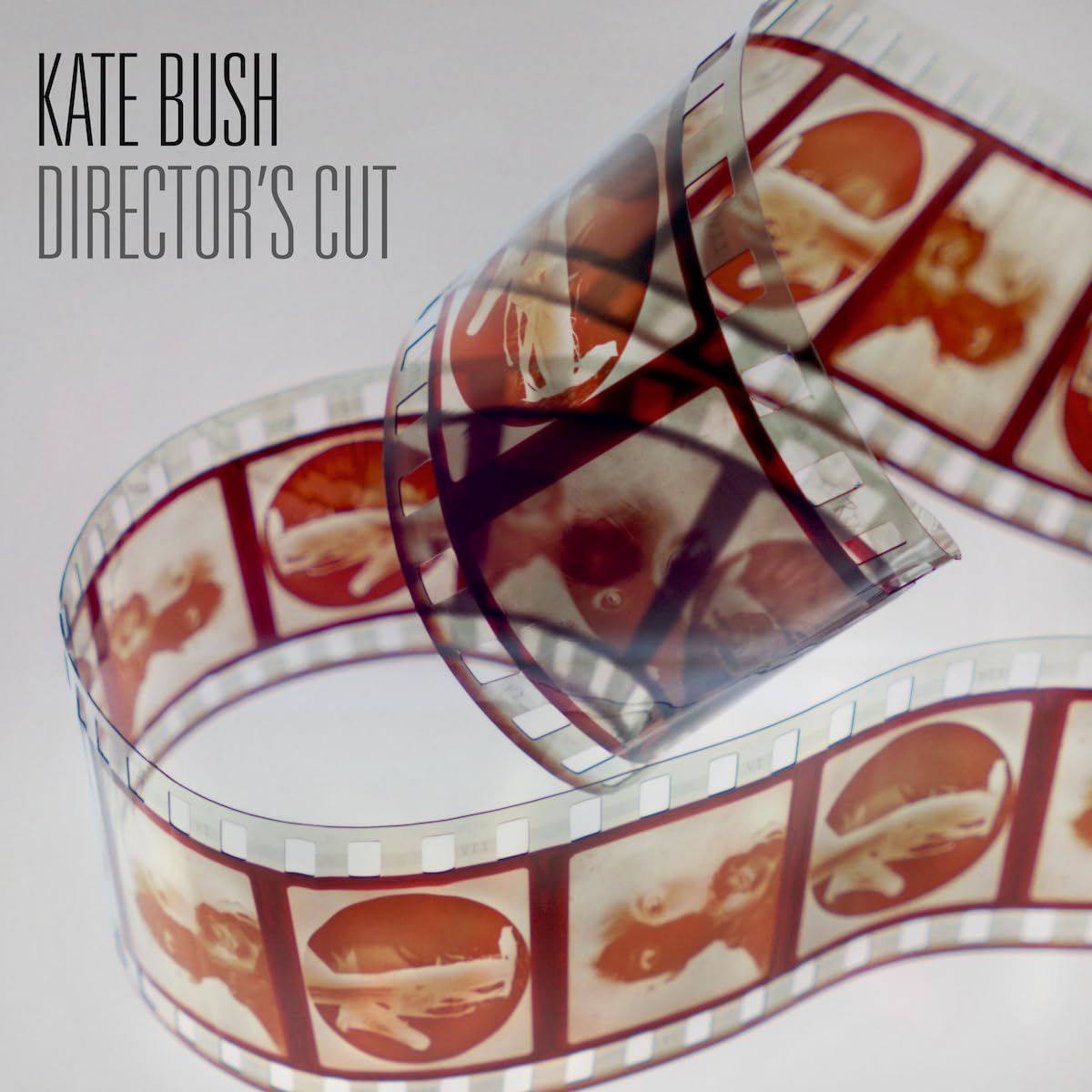 Kate Bush - Director's Cut (2018 Remastered 180 Gram Hazy Red Vinyl Indie Edition, 28pp Booklet) [Import] (2 Lp) - Vinyl