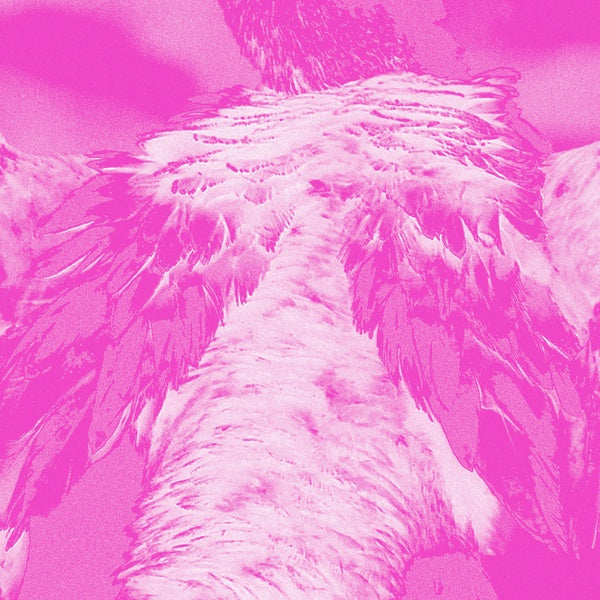 KATE CARR - A field guide to phantasmic birds - CD