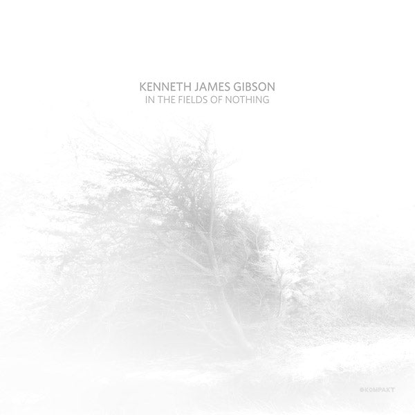 KENNETH JAMES GIBSON - In The Fields Of Nothing - CD