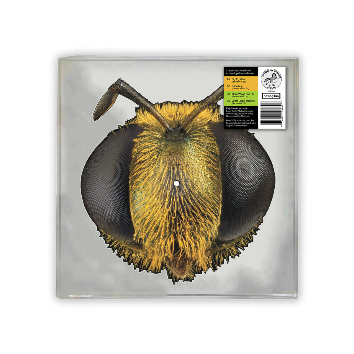 King Gizzard & The Lizard Wizard - Big Fig Wasp (Bee/Bug Shaped Vinyl) - Vinyl