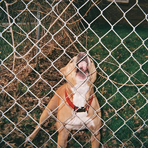 Knocked Loose - Pop Culture [Beer & Bone W/ Evergreen Splatter Vinyl] - Vinyl