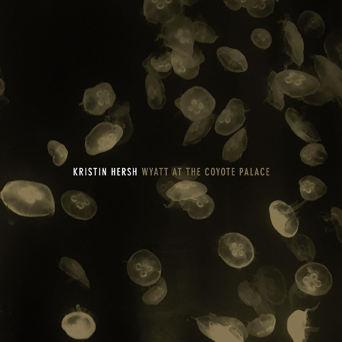 Kristin Hersh - Wyatt at the Coyote Palace - Vinyl