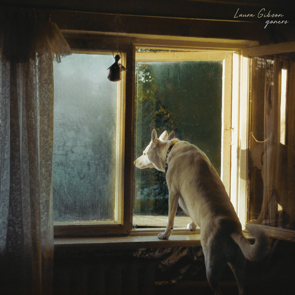 Laura Gibson - Goners - Vinyl