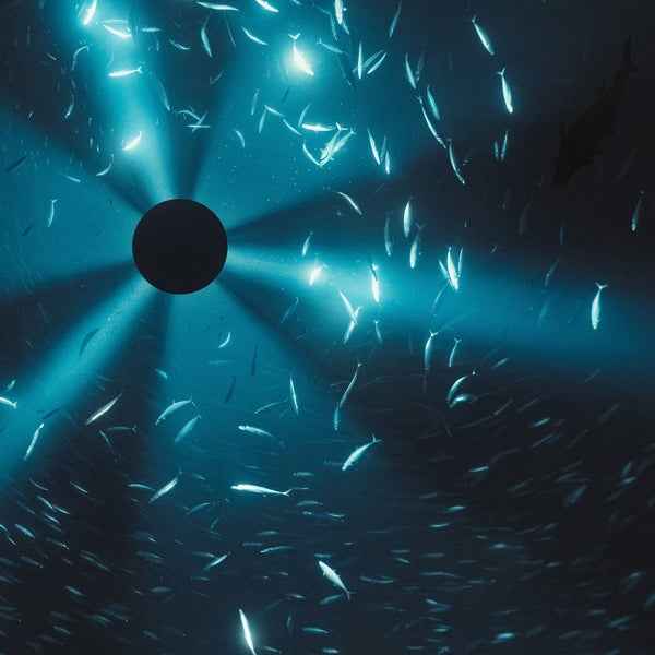 Laurel Halo - Midnight Zone (Original Soundtrack) [LP] - Vinyl