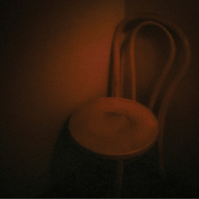 Lawrence & Stephen Vitiello English - Trinity - Vinyl